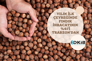 YILIN İLK ÇEYREĞİNDE FINDIK İHRACATININ %41'İ TRABZON'DAN